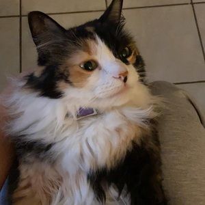 Meet your Posher, Luz